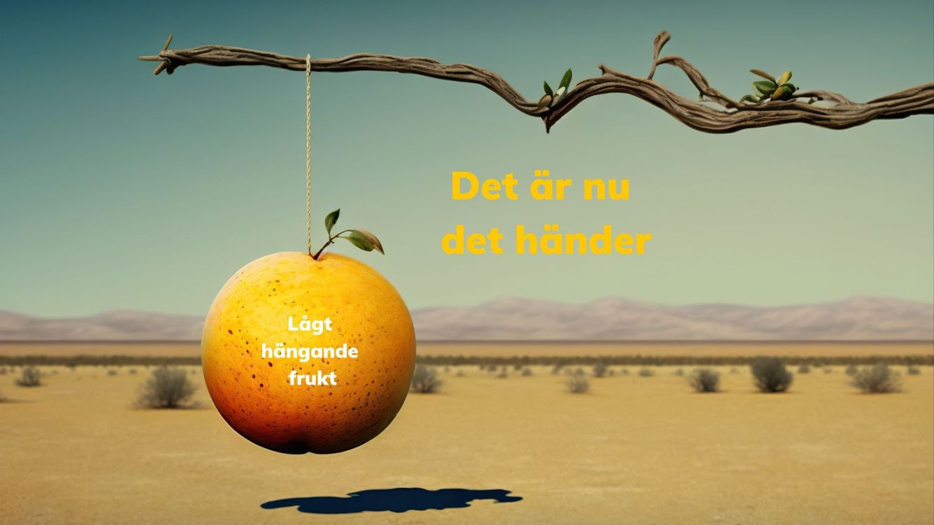 👩‍💻 Nu, nu, NU! Nu är tid att skapa!