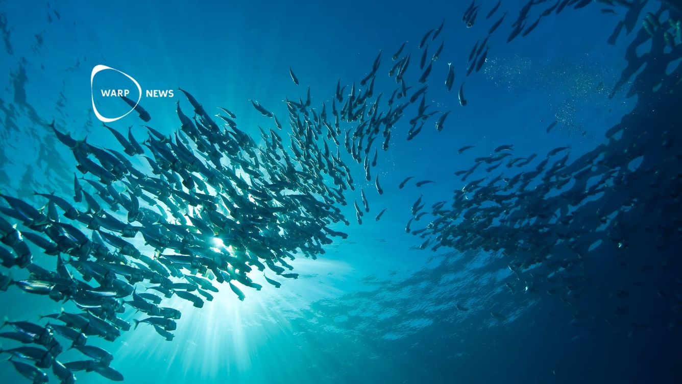 🎣 Listan med överfiskade arter i USA har nått sin lägsta punkt någonsin