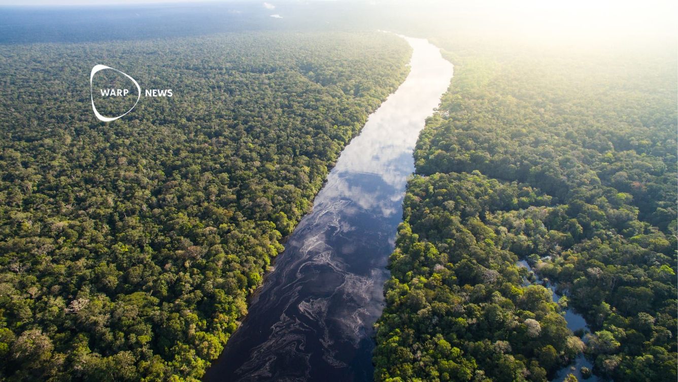 🌳 Avskogningen i Amazonas når lägsta nivån sedan 2018
