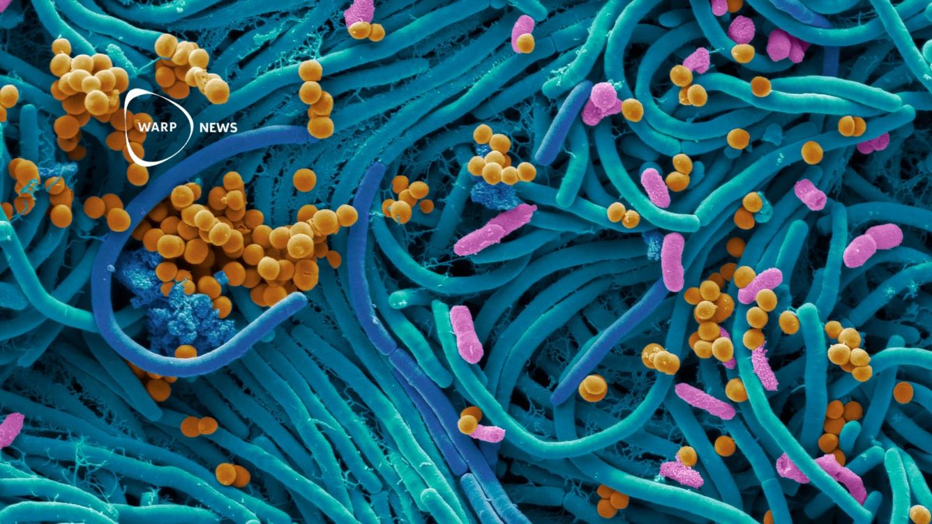 🦠 AI hittar nästan 1 miljon nya antibiotika - framsteg i kampen mot antibiotikaresistens