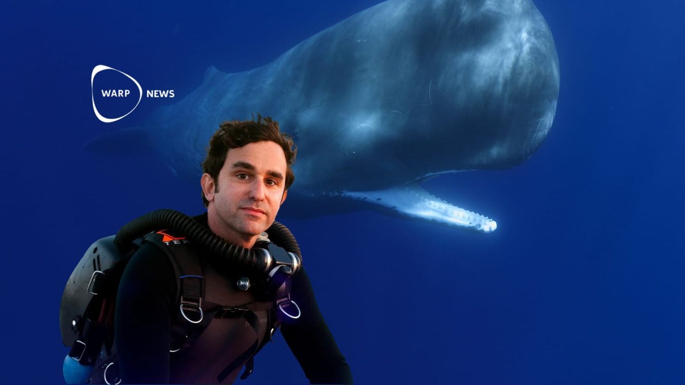 🐳 AI har använts för att identifiera ett fonetiskt alfabet hos kaskeloter