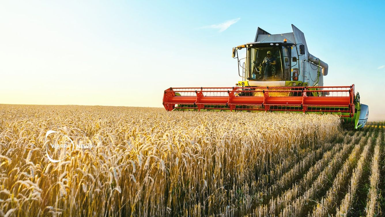 🌾 Rekordskördar leder till lägre matpriser