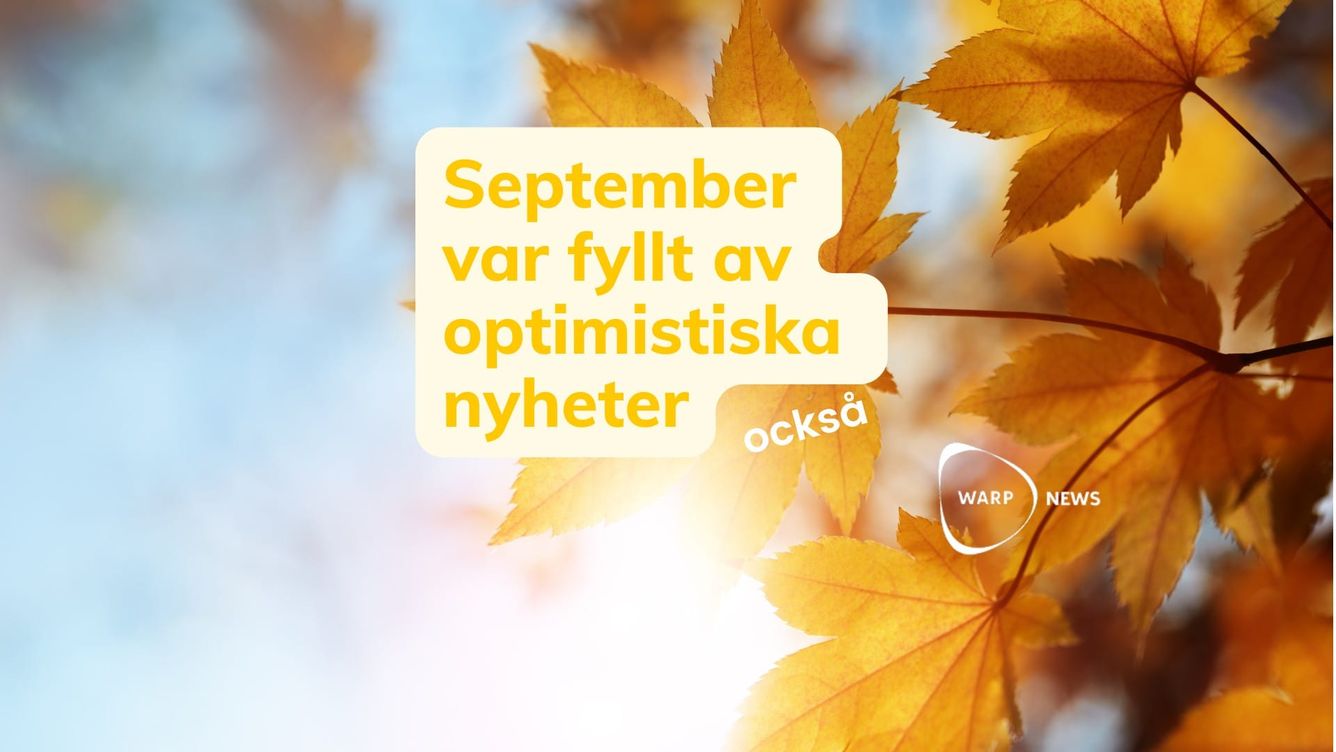 💡 Faktabaserade optimistiska nyheter från september