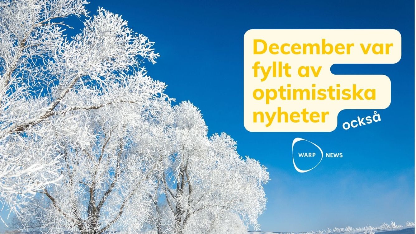 💡 Faktabaserade optimistiska nyheter från december