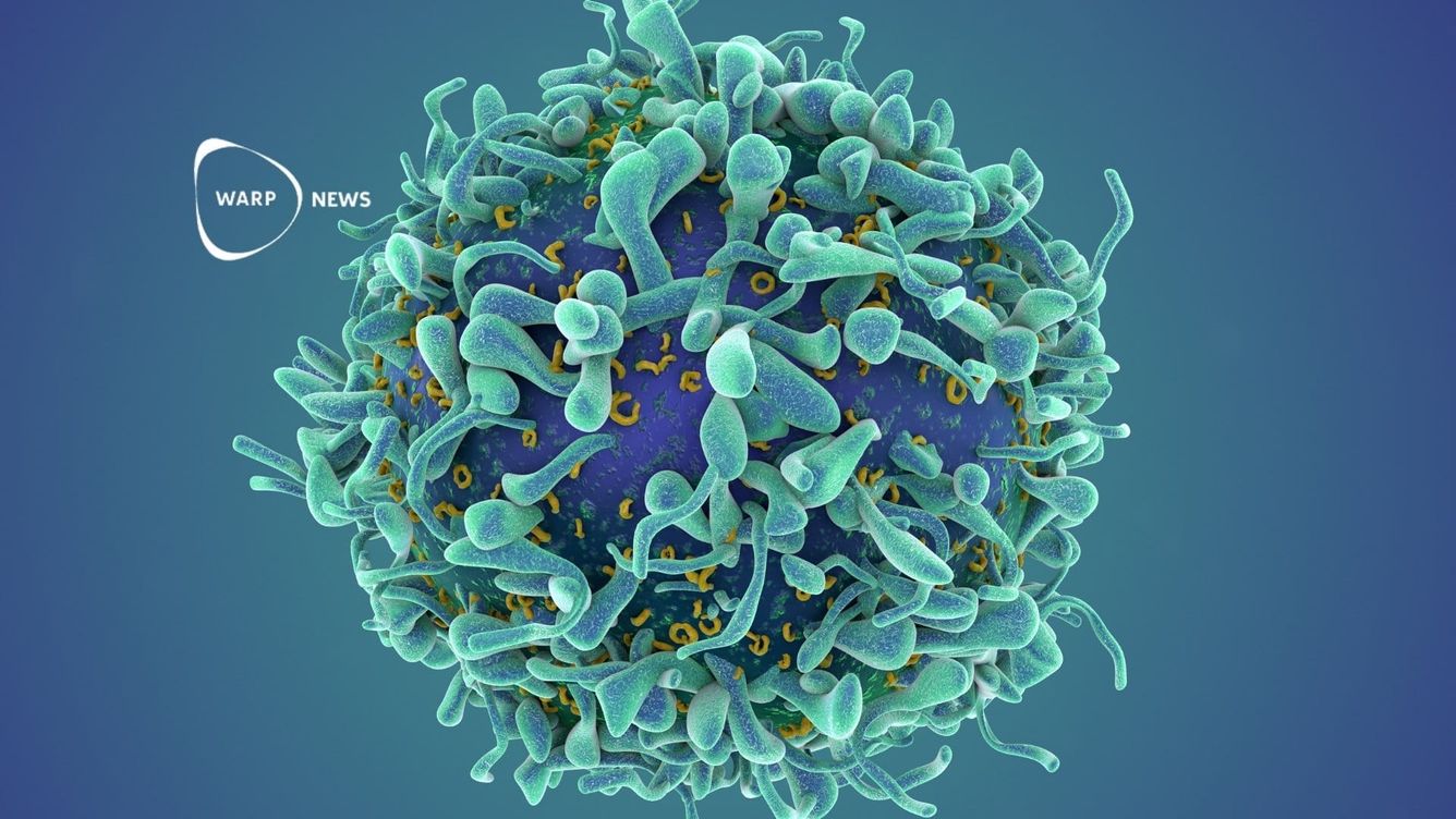 🦠 Forskare får fri tillgång till 100 miljoner cancerceller för att påskynda läkemedelsutveckling