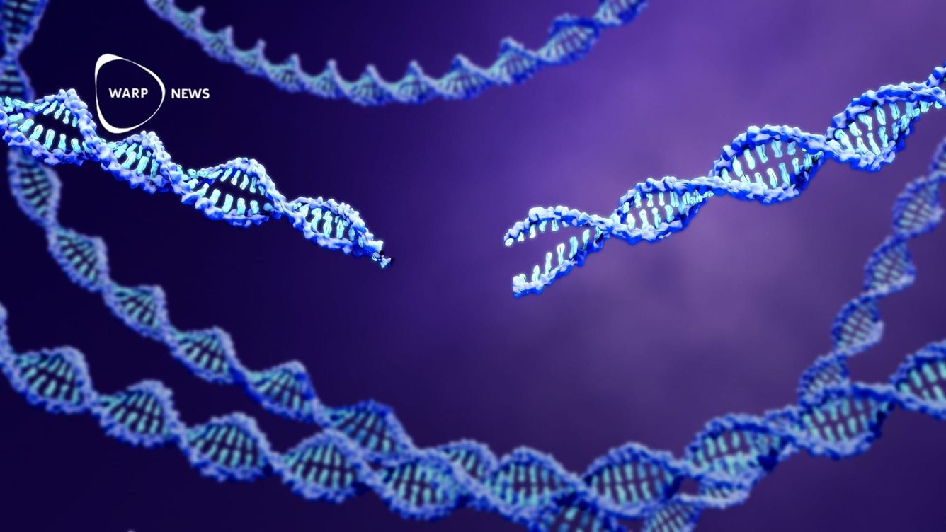 ✂️ Ny CRISPR-teknik gör genredigering mycket säkrare