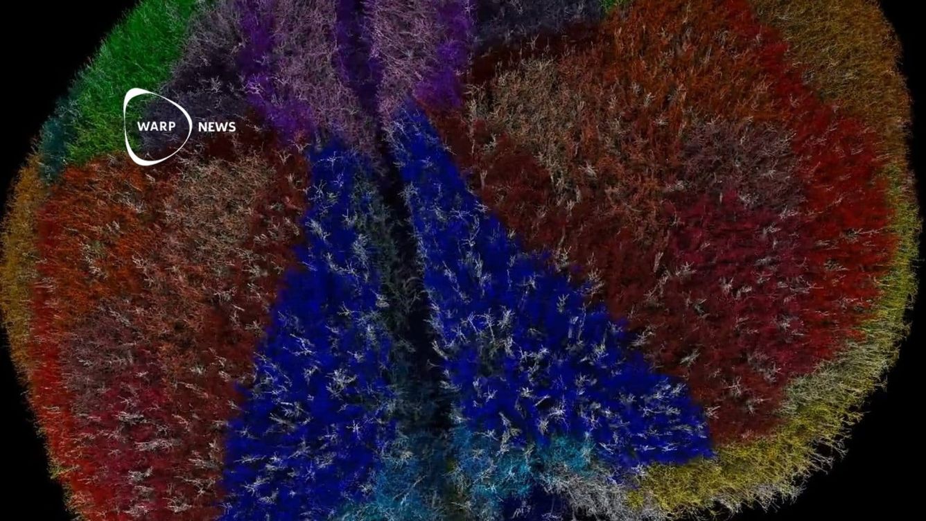 🐭 Forskare simulerar hela mushjärnan med nio miljoner neuroner