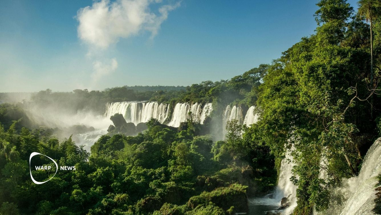 🌳 Avskogningen i Amazonas den lägsta på 13 år