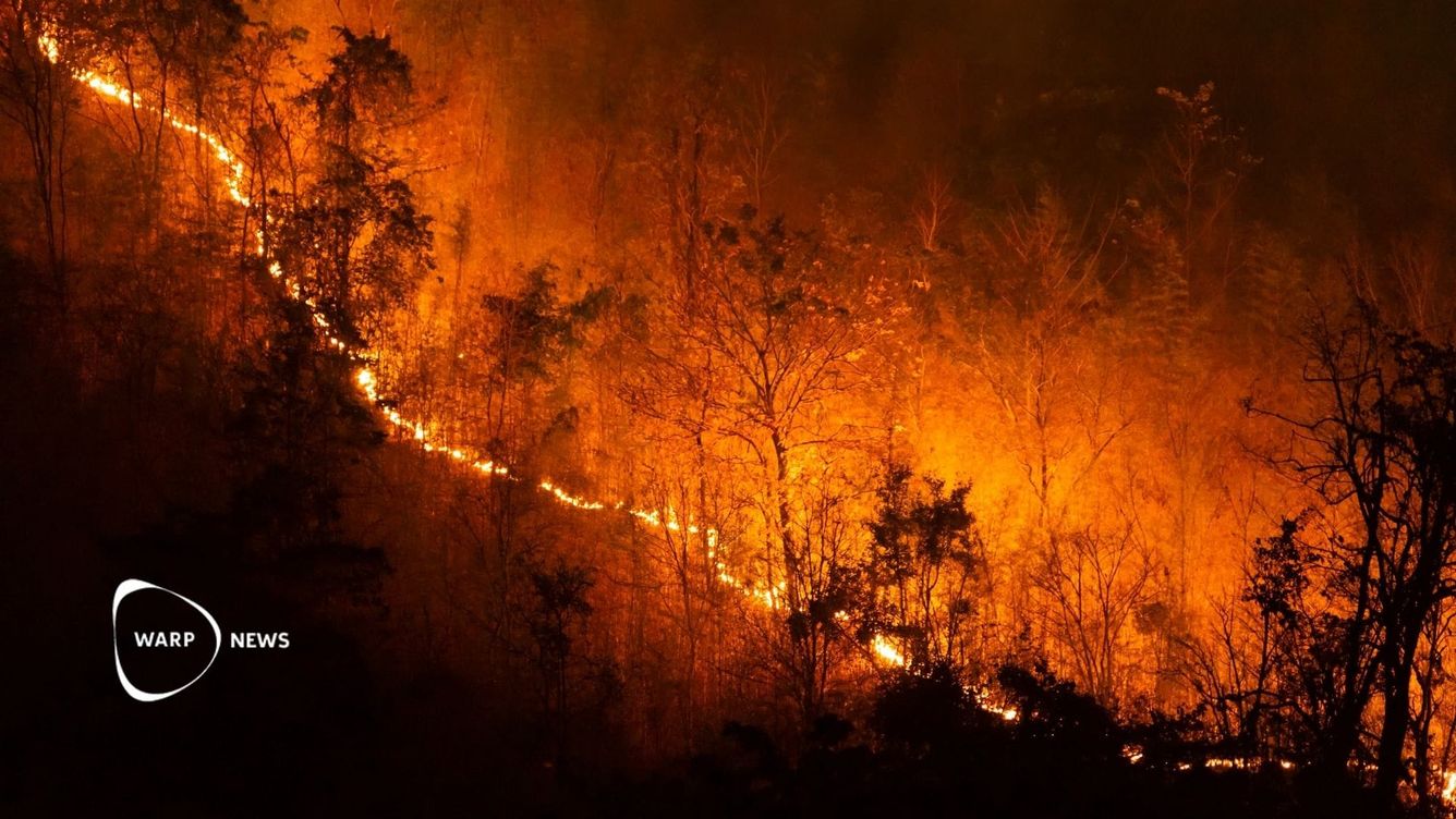 🔥 Det har aldrig brunnit så lite i världen sedan mätningarna började