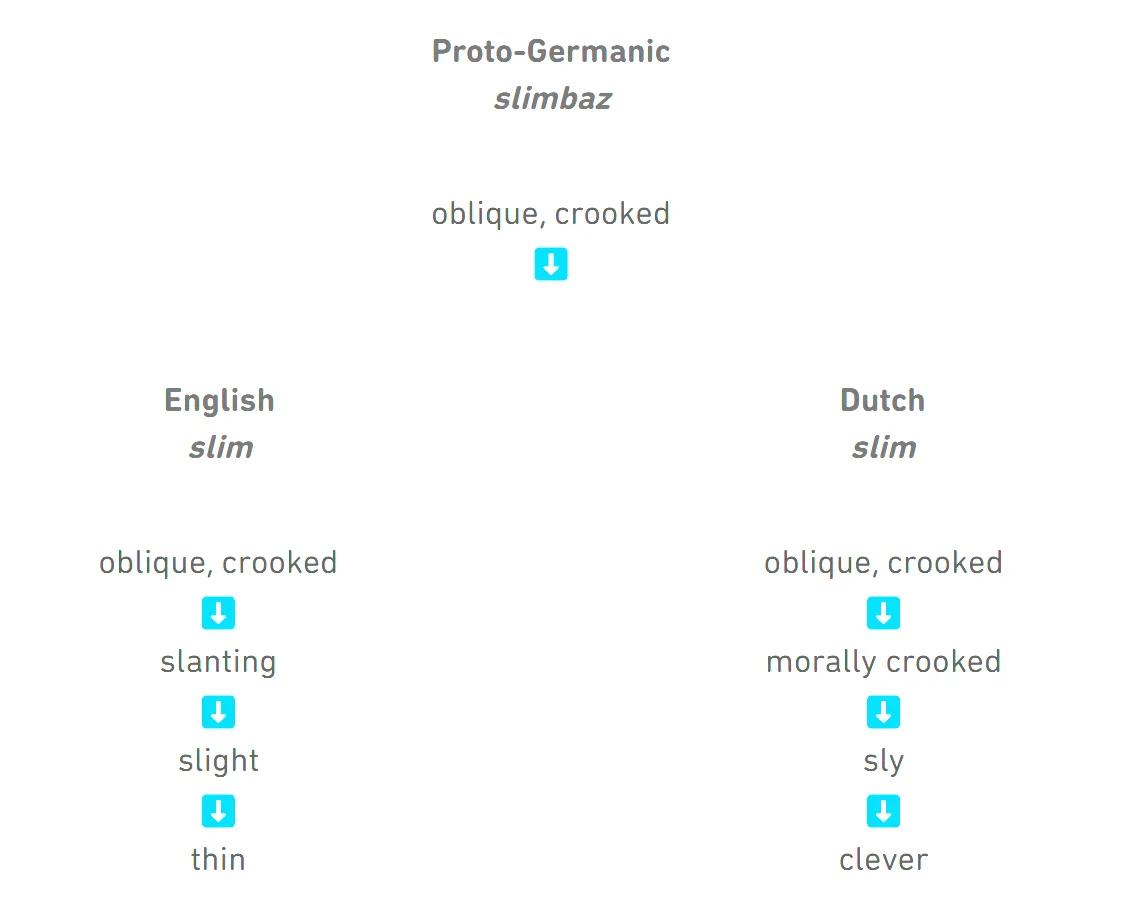 Proto-Germanic *slimbaz ‘oblique, crooked’ English: oblique, crooked → slanting → slight → thin Dutch: oblique, crooked → morally crooked → sly → clever
