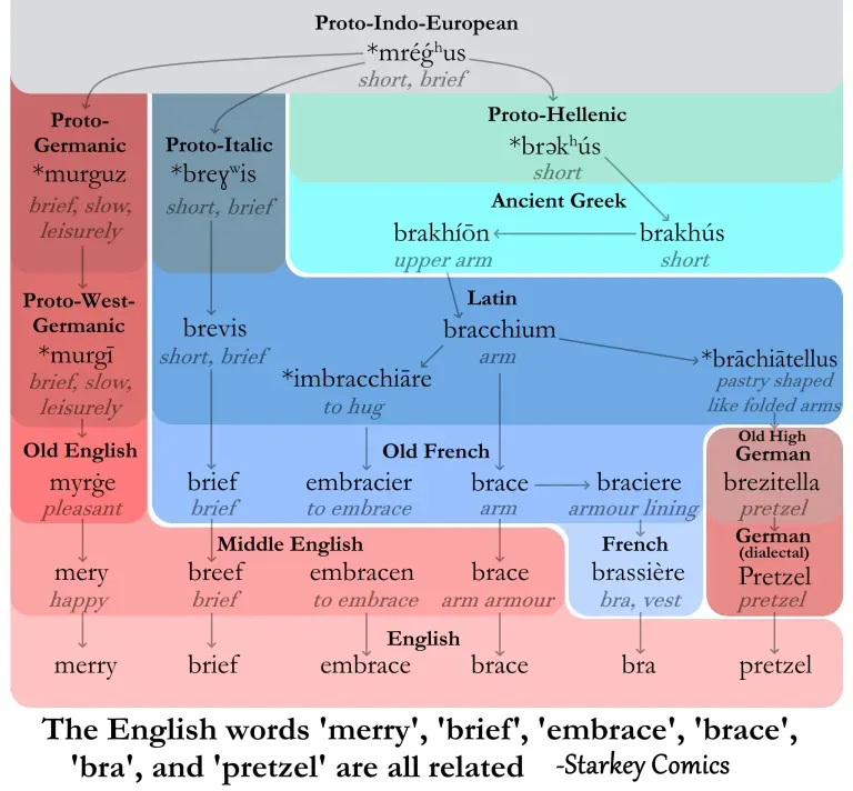 An etymology diagram from Starkey Comics showing how the English words 'merry', 'brief', 'embrace', 'brace', 'bra', and 'pretzel' share a common Proto-Indo-European root mréǵʰus meaning "short, brief". The diagram uses a color-coded flowchart structure to trace the words through different language families: the Germanic branch (in pink/red) shows the evolution from Proto-Germanic murguz through Old English myrge to modern English "merry" and "brief"; the Italic/Romance branch (in blue) traces from Proto-Italic breɣʷis through Latin bracchium ("arm") to Old French brace and embracier, eventually yielding English "embrace" and "brace" as well as French brassière (shortened to "bra"); and a German dialectal branch shows the path to "Pretzel" (from Old High German brezitella meaning "pastry shaped like folded arms"). The diagram also shows the Greek branch through Proto-Hellenic brokʰús and Ancient Greek brakhús meaning "short".