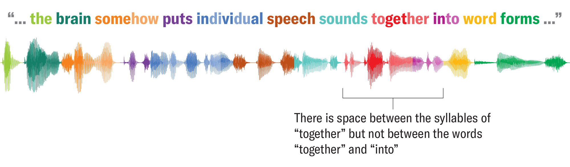 A colorful audio waveform illustration with the quote “the brain somehow puts individual speech sounds together into word forms,” plus an annotation noting there is a pause between the syllables of “together” but not between the words “together” and “into.”