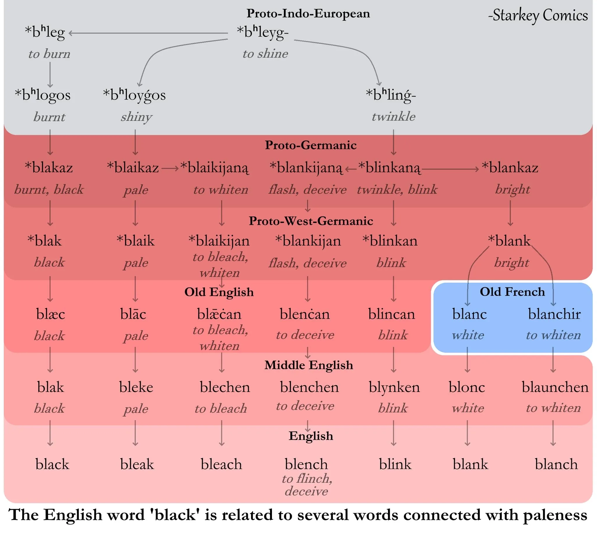 Etymology flowchart showing Proto-Indo-European roots meaning “to burn” and “to shine” branching through Proto-Germanic, Proto-West-Germanic, Old English, and Middle English into modern English words like “black,” “bleak,” “bleach,” “blench,” and “blink,” alongside Old French “blanc” (white) and “blanchir” (to whiten). Caption: “The English word ‘black’ is related to several words connected with paleness.”