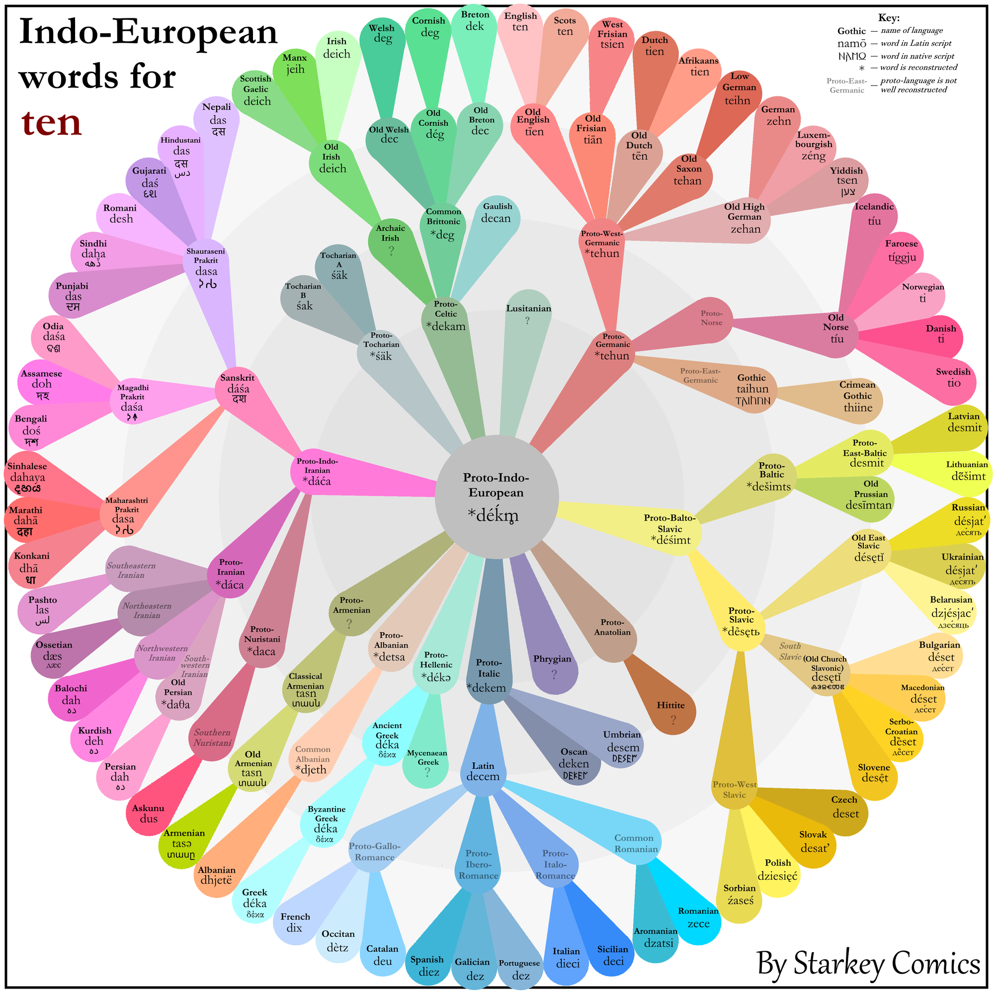 A wheel-like infographic with the Proto-Indo-European word for ‘ten’ at the center, and all its reflexes (etymological descendants) fanning out from it like leaves on tree branches, with each branch of the Indo-European tree in a different color.