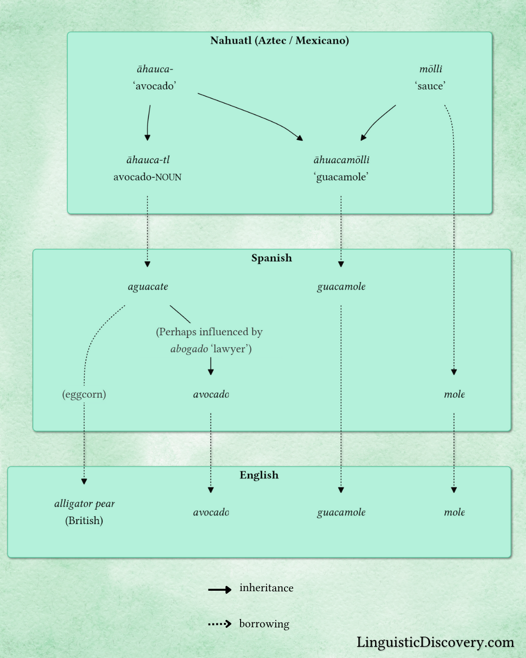 The etymology of "guacamole"