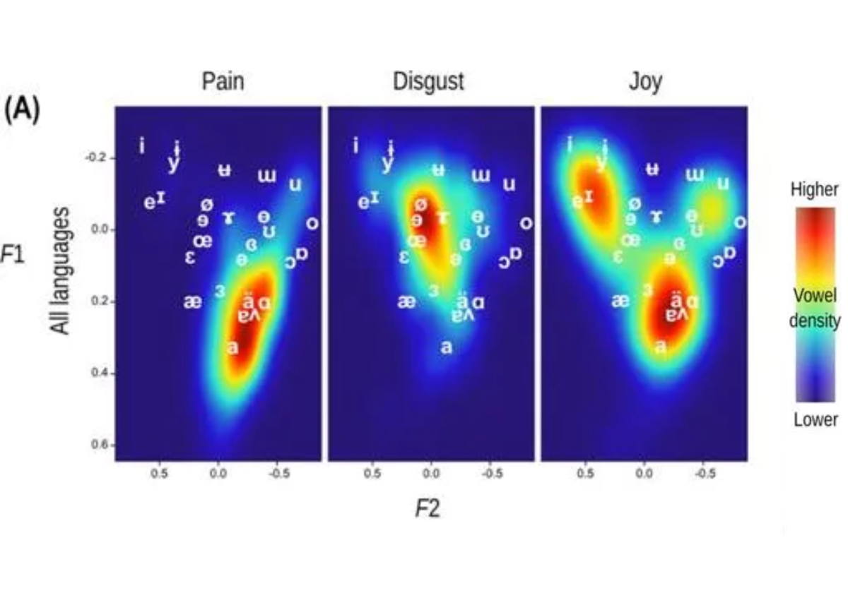 Critics hate the new French dictionary, and linguists discover the universal language of pain