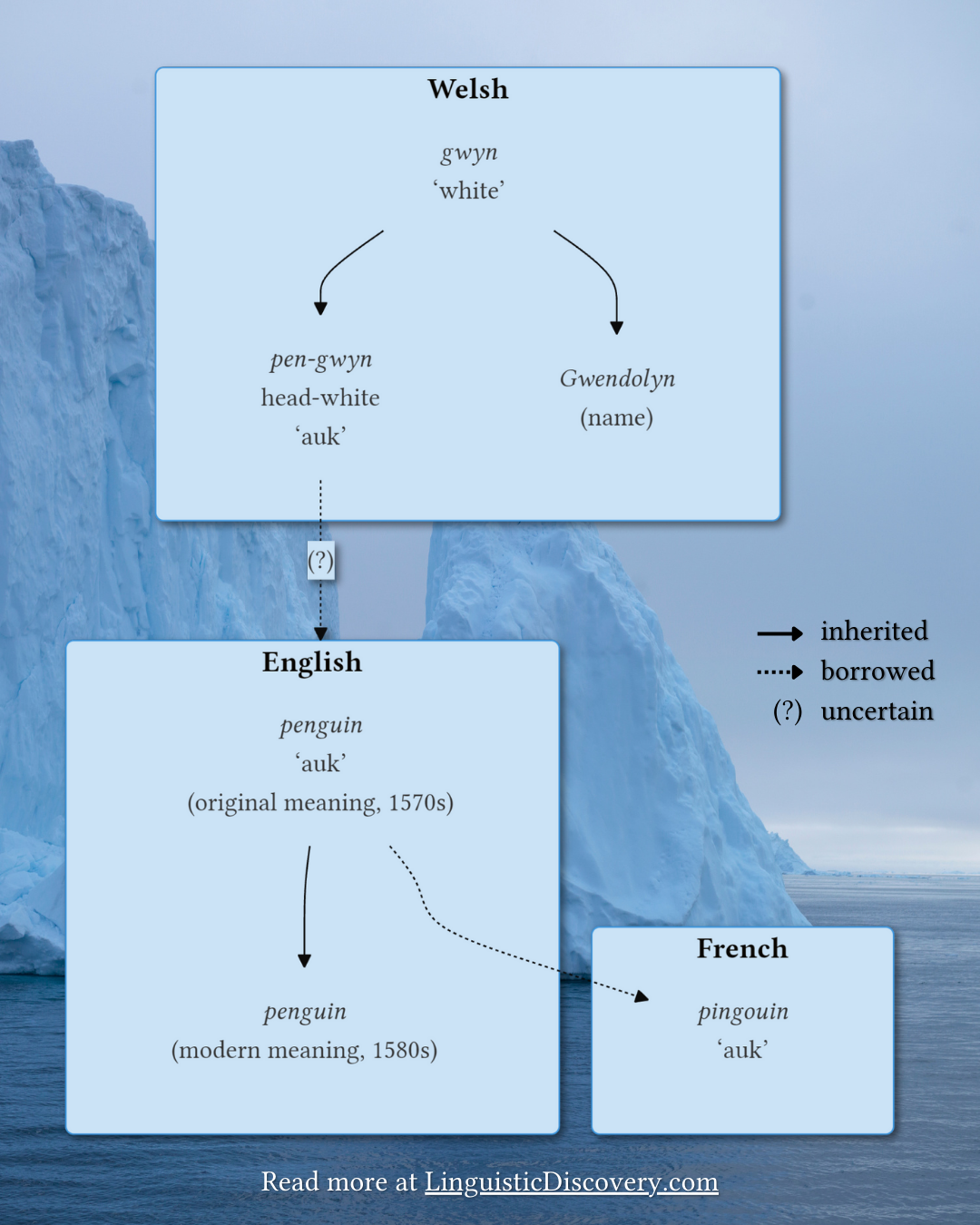 The etymology of “penguin”