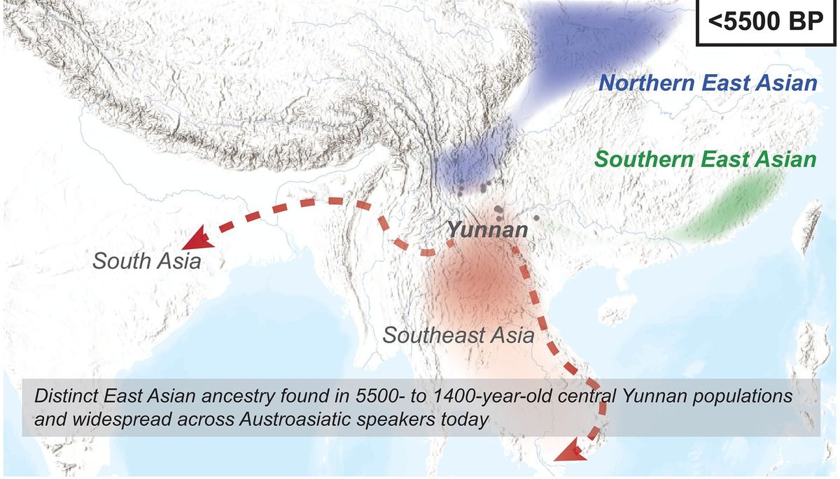 Islands are incubators of linguistic diversity, and people are more likely to cooperate with those who use similar linguistic constructions