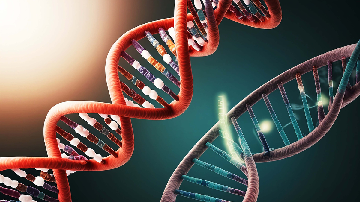 Language genes may be much older than previously thought