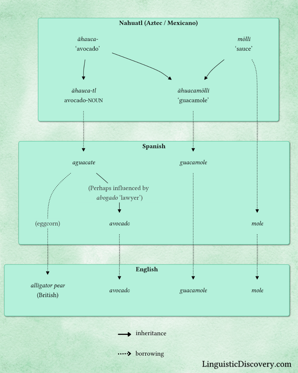 The etymology of "guacamole"