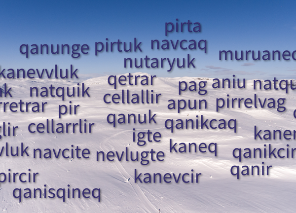 Do Inuit languages really have more words for snow? And why does it matter, anyway?
