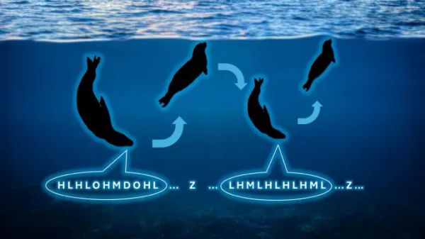 An experiment with the Aboriginal language Murrinhpatha suggests language influences perception