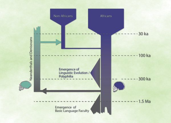 Could Neanderthals handle language variation?