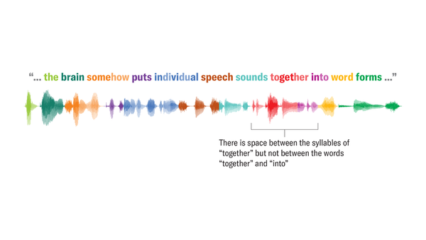 How your brain separates sounds into words