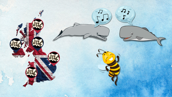 Linguists work to create UK’s first swear map