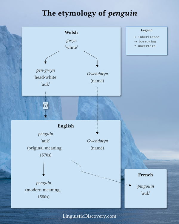 The etymology of “penguin”