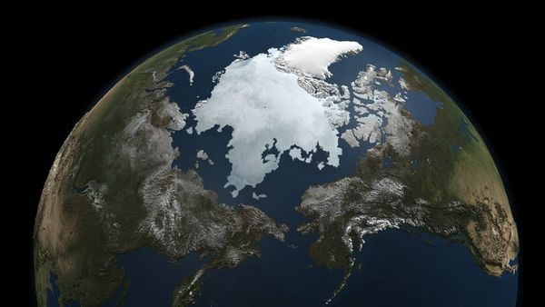 Polar Vortex