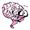 What is German New Medicine?