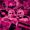 Right Said Fred ... said right things