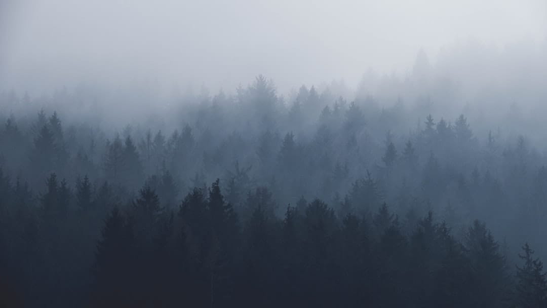 7 internal email examples that work