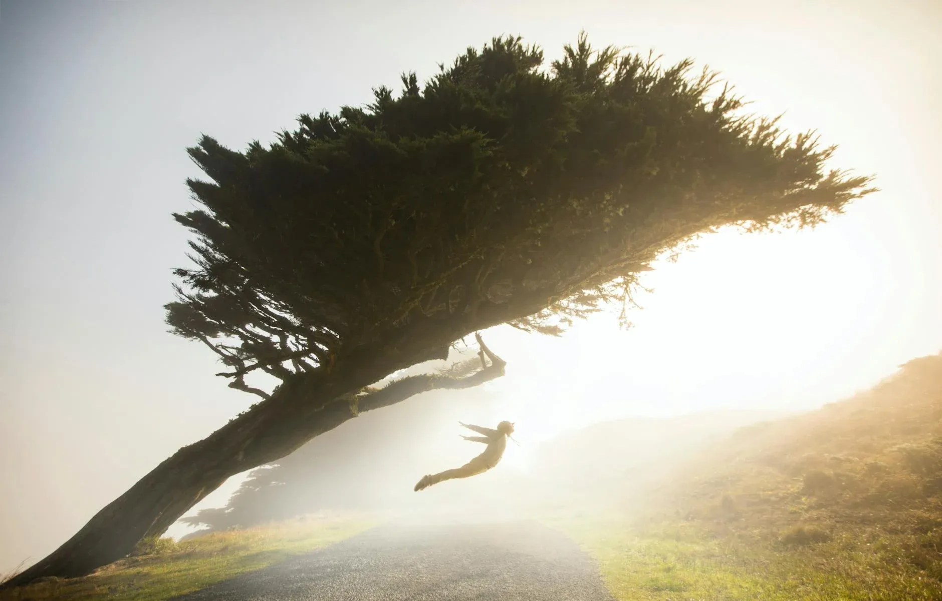Agentic AI Enterprise Adoption Strategy for Leaders