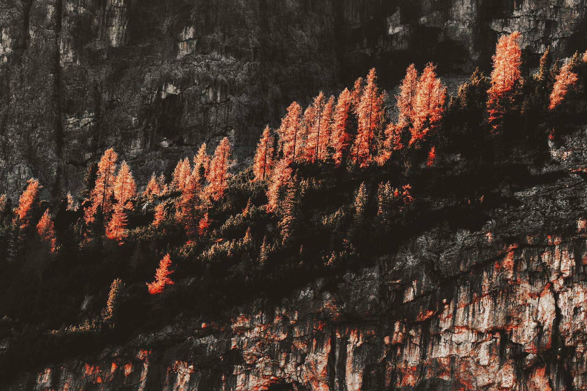 The Ultimate Guide to Email Automation for Fast-Growing Teams