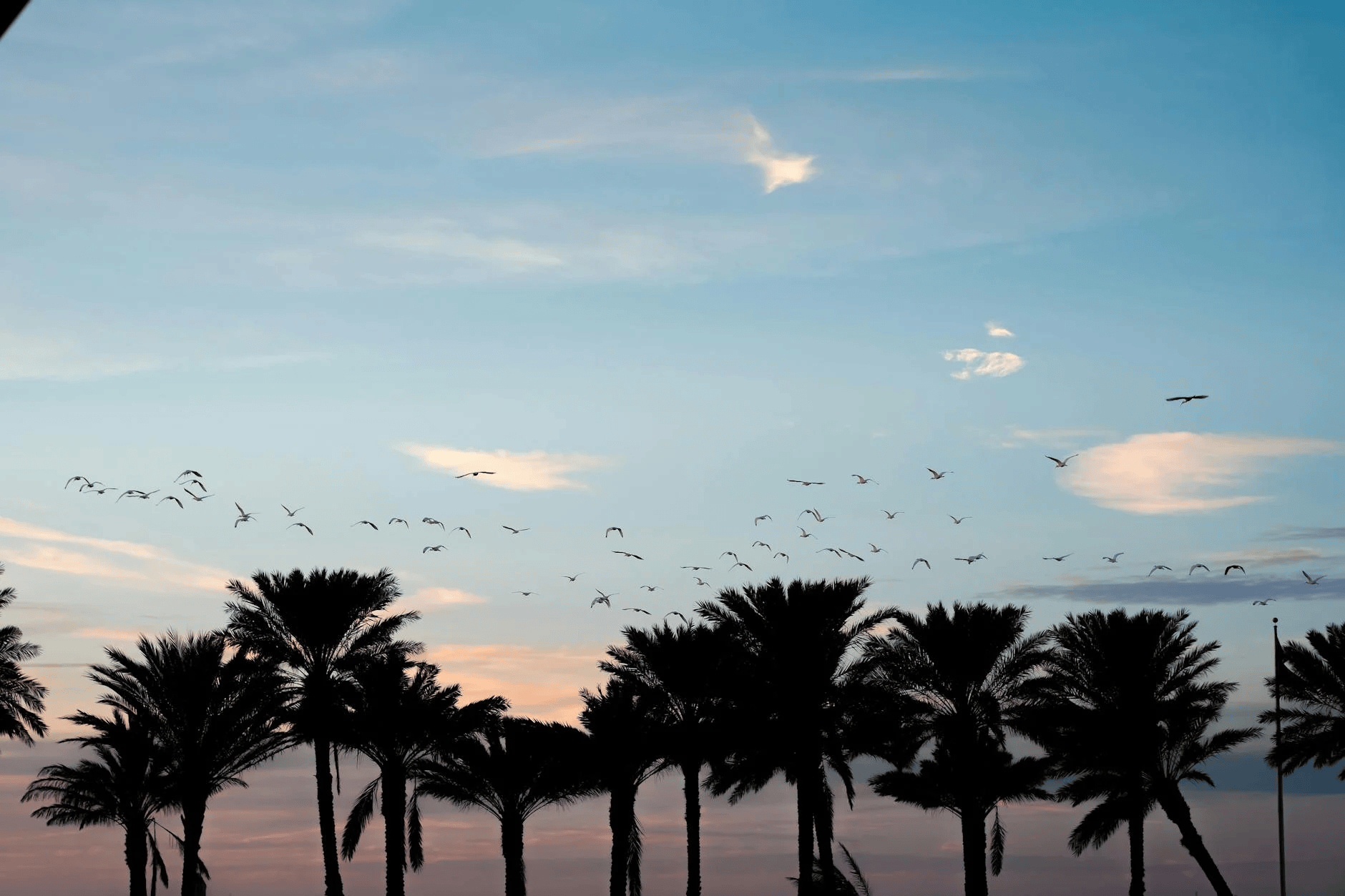 The complete email migration guide: Switch platforms without losing data