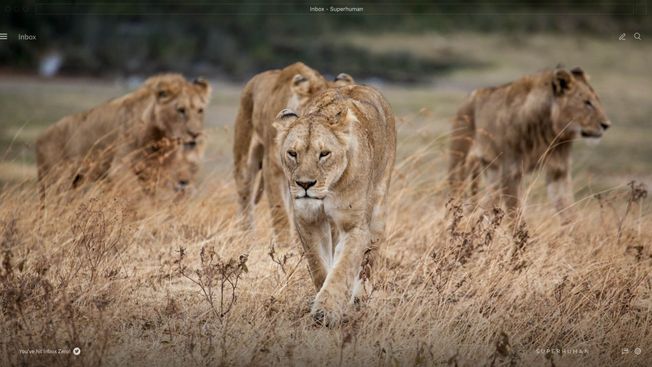 16 Business Productivity Tools to Boost Your Team’s Performance