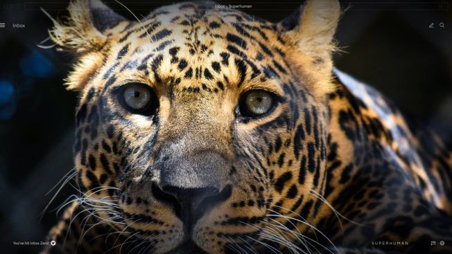 Why Superhuman Mail is built for speed: applying the 100ms rule to email