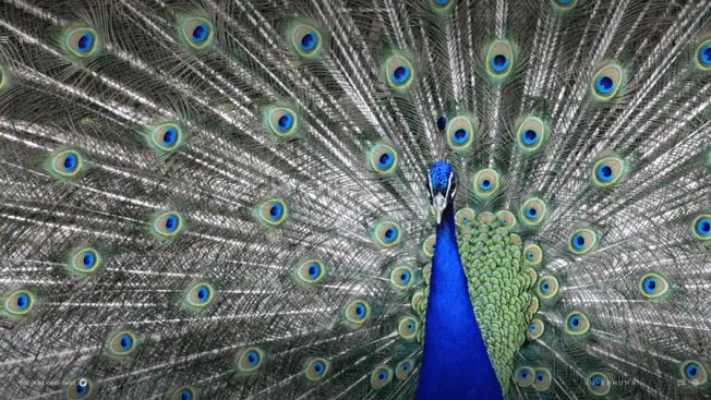 What people really think about your fancy email signature