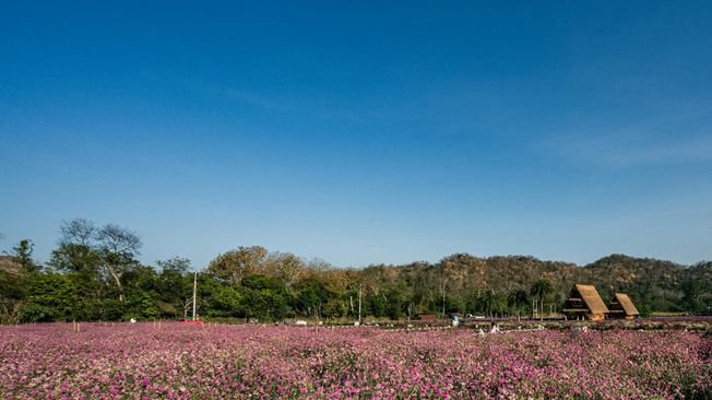 The AI business transformation playbook for scale