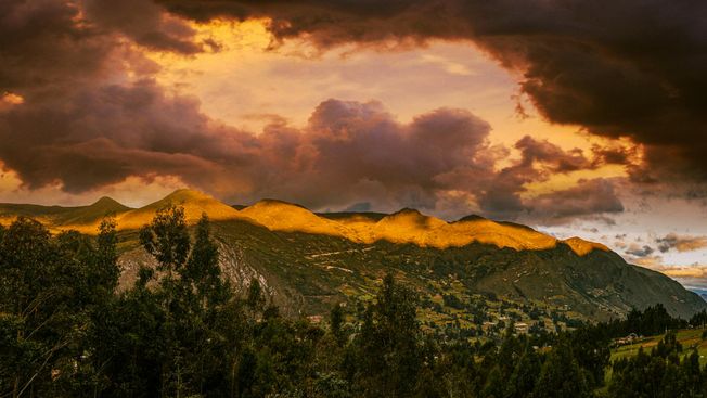 The AI productivity results that trigger acquisition offers