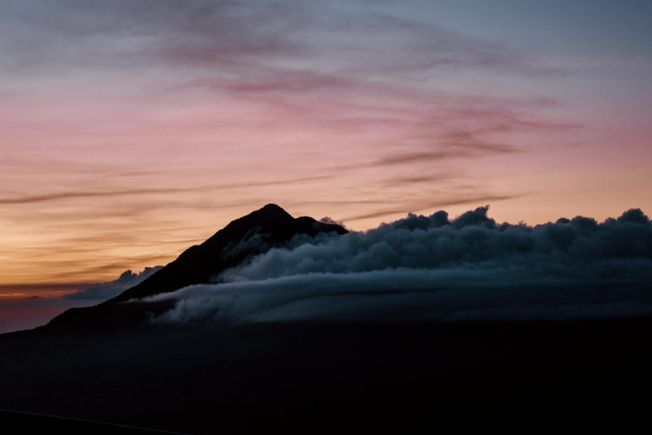 How to transform your business with these AI principles