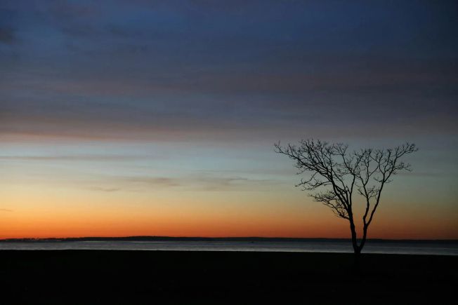 AI tools for business strategy that ship tomorrow