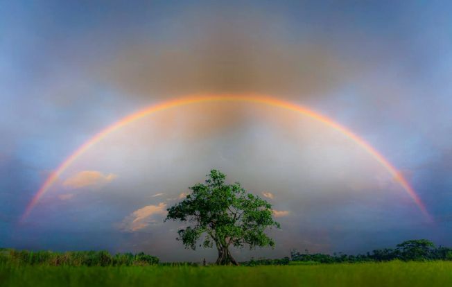 AI strategy framework for companies in denial