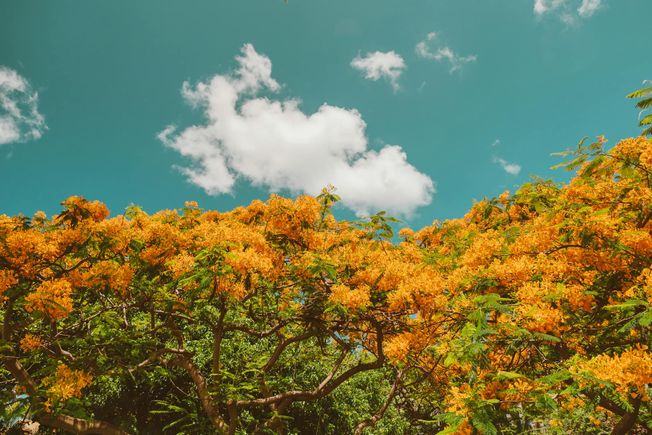 Why enterprise agentic AI adoption matters in 2025