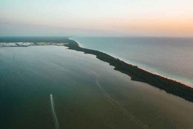 AI adoption in insurance: Help your business thrive