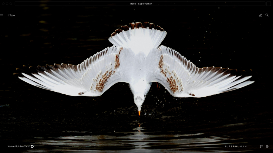 How to prevent unwanted emails: 6 tips