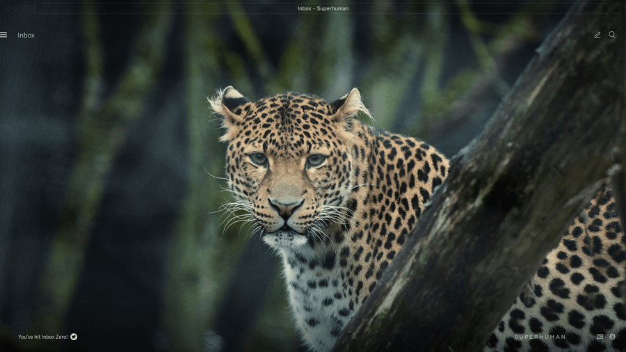 How to create goals: Science-backed strategies for achieving what matters most