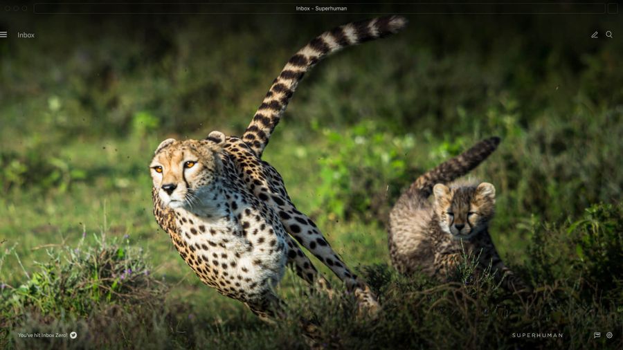 3 ways to improve sales email results with Superhuman